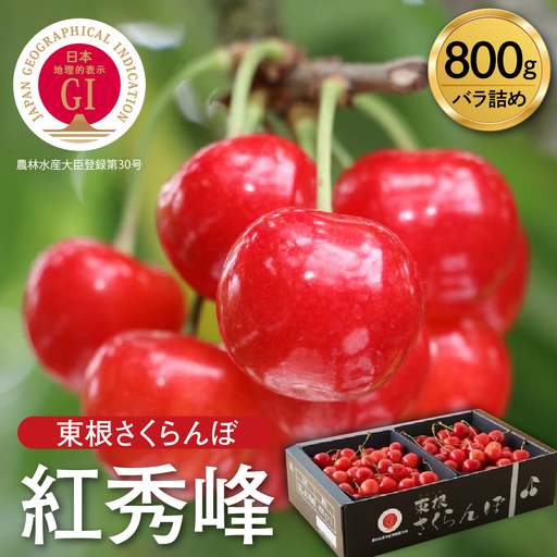 2027年産 GI 東根 さくらんぼ 紅秀峰 800g JA さくらんぼ