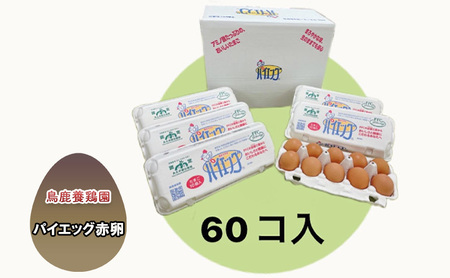 たまご パイエッグ赤卵 鶏卵 鳥鹿養鶏園 たまご【60個入り】
