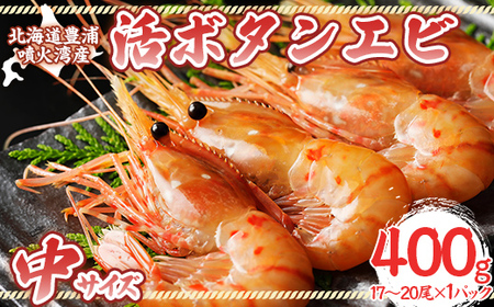 活ボタンエビ 中サイズ 400g(17〜20尾)×1パック 北海道 噴火湾産[2026年9月以降順次発送]