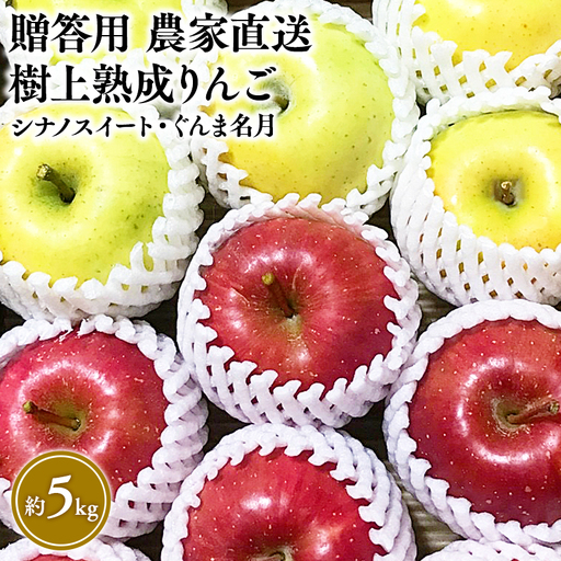 りんご 贈答用  シナノスイート・ぐんま名月 約5kg【hi-0033-002】