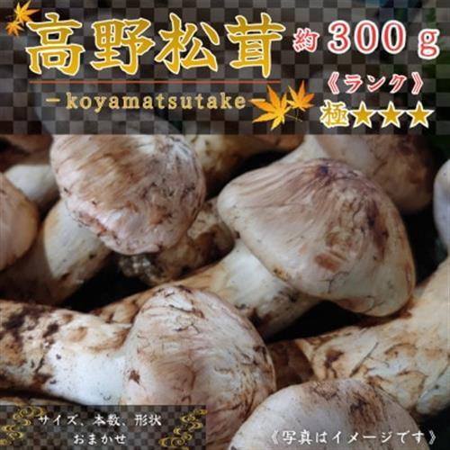 [和歌山産]〜香りそのまま真空パック〜高級・希少 高野松茸 300g(極:★★★)_野菜 松茸 きのこ まつたけ マツタケ_[配送不可地域:離島・北海道・沖縄県]