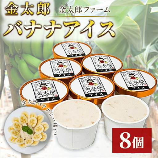 金太郎バナナアイス（8個） 栽培期間中農薬不使用 【国産 ギフト プレゼント 贈り物 お返し おいしい 果物 くだもの フルーツ お歳暮 お中元 】