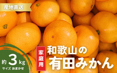 【1月発送】家庭用 有田みかん 和歌山 訳あり わけあり S～Lサイズ 大きさお任せ 3kg / みかん フルーツ 果物 くだもの 有田みかん 蜜柑 柑橘【ktn006B-1】