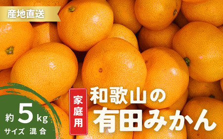 [11月発送]家庭用 有田みかん 和歌山 訳あり S〜Lサイズ 大きさお任せ 5kg / みかん フルーツ 果物 くだもの 有田みかん 蜜柑 柑橘 わけあり[ktn007A-1]