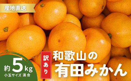 家庭用 有田みかん 和歌山 訳あり わけあり 小玉(2S,3Sサイズ混合) 5kg【9月下旬～1月下旬頃に順次発送】/ みかん フルーツ 果物 くだもの 有田みかん 蜜柑 柑橘【ktn010B】