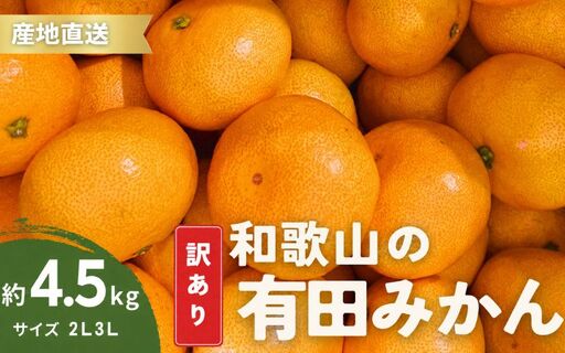 家庭用 有田みかん 和歌山 訳あり 大玉(2L,3Lサイズ混合) 4.5kg【11月上旬～1月下旬頃に順次発送】/ みかん フルーツ 果物 くだもの 有田みかん 蜜柑 柑橘【ktn011】
