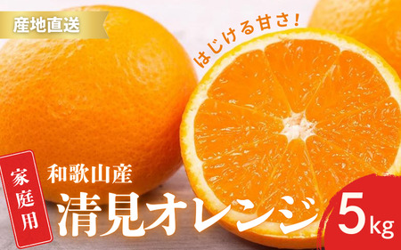 【先行予約】家庭用 訳あり きよみ 清見オレンジ 和歌山 有田 2S～3Lサイズ混合 5kg【2月上旬～3月下旬頃に順次発送】/ みかん フルーツ 果物 くだもの 蜜柑 柑橘【ktn040】