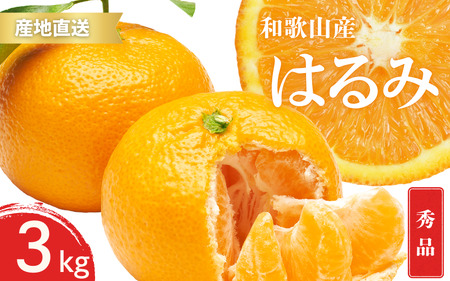 【先行予約】秀品 はるみ 和歌山 有田 S～2Lサイズ 大きさお任せ 3kg【1月下旬～3月下旬までに順次発送予定】/ みかん フルーツ 果物 くだもの 蜜柑 柑橘【ktn046】