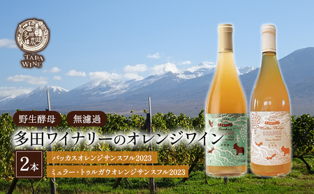 【酸化防止剤無添加 野生酵母 無濾過】オレンジワイン 2本 多田ワイナリー 北海道 上富良野町 ワイン 果実酒