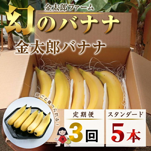 定期便：スタンダード 金太郎バナナ（15本）  5本×3回（毎月お届け） 栽培期間中農薬不使用 【国産 ギフト プレゼント 贈り物 お返し おいしい 金太郎バナナ 果物 くだもの フルーツ お歳暮 お中元 】