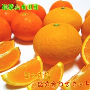 [先行予約]旬の柑橘詰め合わせセット(ご家庭用)約3kg | フルーツ ふるーつ 果物 くだもの 詰め合わせ オレンジ みかん レモン 国産 産地直送 美浜町