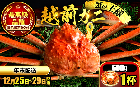 【年末配送】 越前がに 600ｇ×1ハイ ズワイガニ 【先行予約/12月25日より順次発送】 【配送不可地域：北海道・沖縄・離島】[BFCS033]
