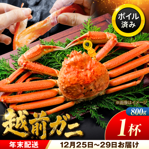 【年末配送】越前がに 800ｇ×1ハイ ズワイガニ 【先行予約/12月25日より順次発送】【配送不可地域：北海道・沖縄・離島】[BFCS039]