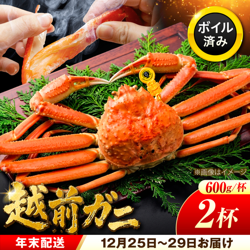 【年末配送】越前がに 600ｇ×2ハイ ズワイガニ 【先行予約/12月25日より順次発送】【配送不可地域：北海道・沖縄・離島】[BFCS034]