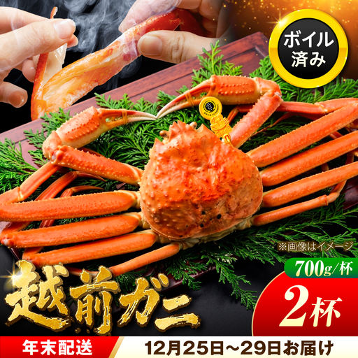 【年末配送】越前がに 700ｇ×2ハイ ズワイガニ 【先行予約/12月25日より順次発送】【配送不可地域：北海道・沖縄・離島】[BFCS037]