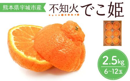  不知火 でこ姫 約2.5kg（6～12玉）【吉田レモニー】【2027年3月上旬-6月上旬発送】