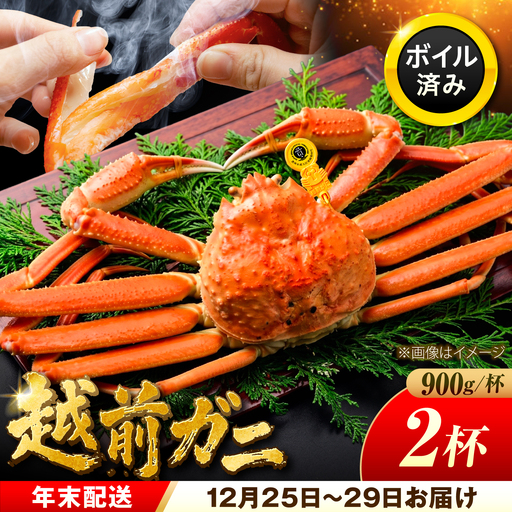 【年末配送】越前がに 900ｇ×2ハイ ズワイガニ 【先行予約/12月25日より順次発送】【配送不可地域：北海道・沖縄・離島】[BFCS043]