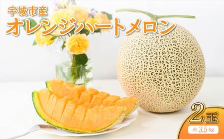 先行予約 メロン オレンジハート 約3.5kg[2026年11月上旬〜11月下旬頃発送予定]