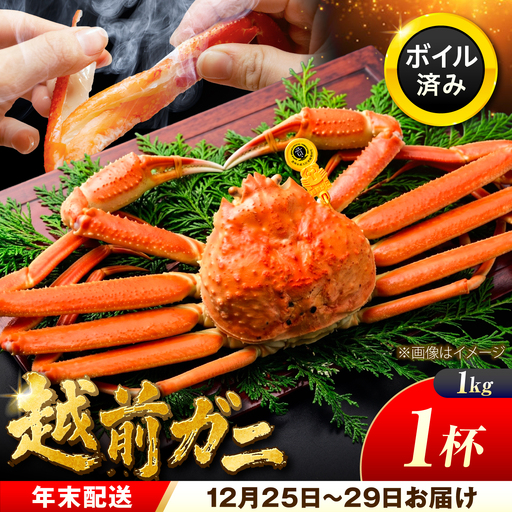 【年末配送】越前がに 1kg×1ハイ ズワイガニ 【先行予約/12月25日より順次発送】【配送不可地域：北海道・沖縄・離島】[BFCS045]