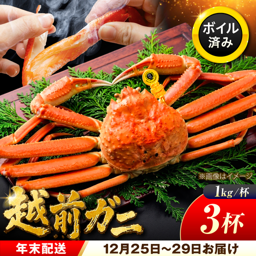 【年末配送】越前がに 1kg×3ハイ ズワイガニ 【先行予約/12月25日より順次発送】【配送不可地域：北海道・沖縄・離島】[BFCS047]