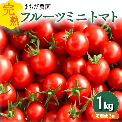 [定期便3回 1・3・5月]トマト フルーツミニトマト 1kg トマト