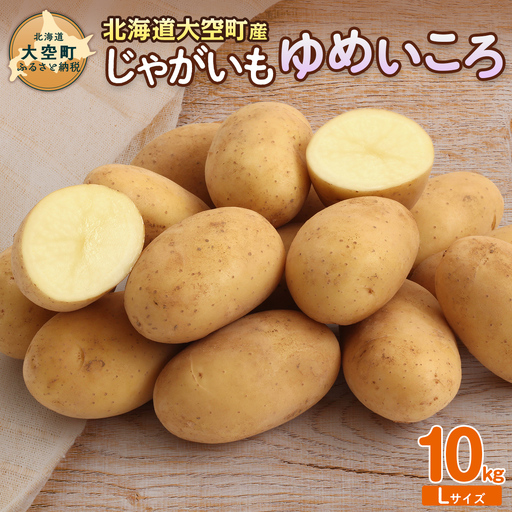 【先行予約】じゃがいも（ゆめいころ） Lサイズ 10kg 大空町産（2026年10月以降順次発送）OSR011