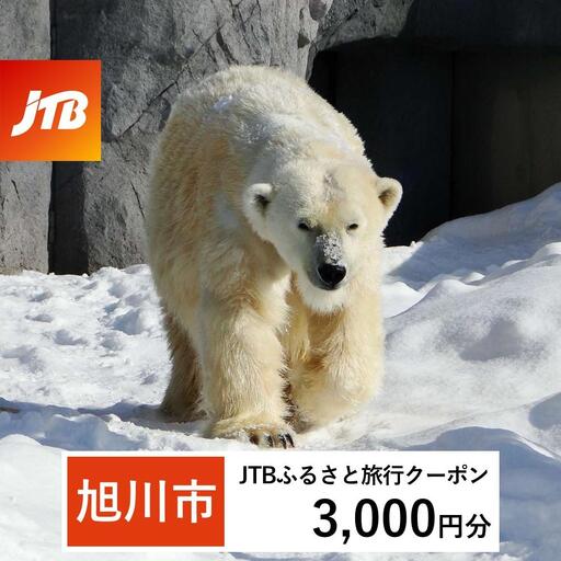 【旭川市】JTBふるさと旅行クーポン（3,000円分）有効期間3年（Eメール発行）｜旅行クーポン