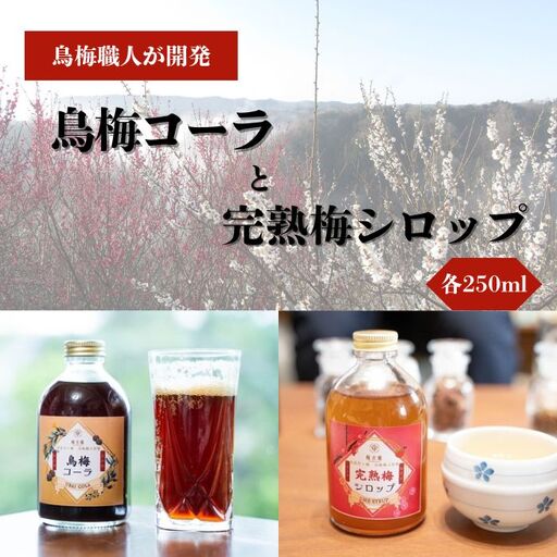 烏梅コーラと完熟梅シロップのセット 梅古庵 17-004 コーラ 梅 シロップ