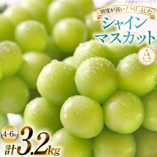 【期間限定発送】 シャインマスカット Aランク 4～6房 3.2kg