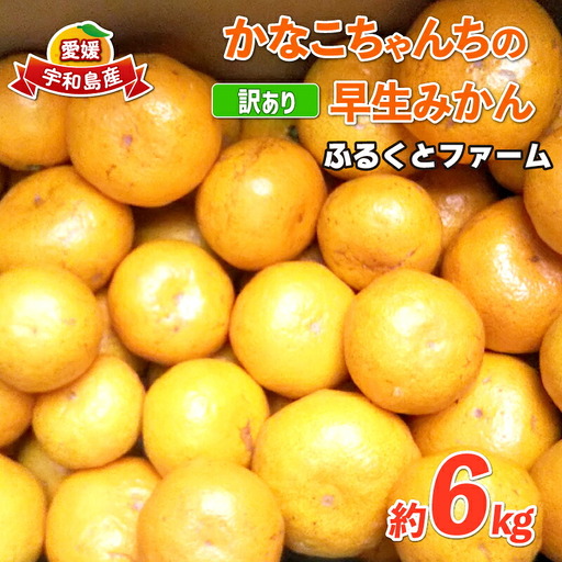 訳あり 早生 6kg ふるくとファーム 先行予約 かなこちゃんち 果物 くだもの フルーツ 柑橘 みかん 蜜柑 mikan ビタミンC たっぷり 愛媛ミカン 愛媛蜜柑 愛媛みかん 農家直送 産地直送 数量限定 国産 愛媛 宇和島 B010-037004