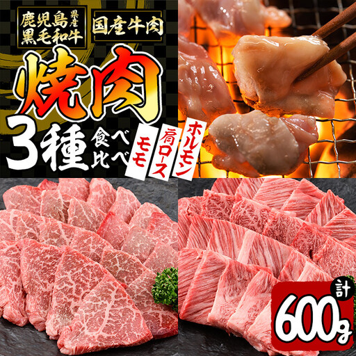 【焼肉3種！食べ比べセット】鹿児島県産黒毛和牛 モモ・肩ロース・国産ホルモンの焼肉3種セット＜計600g＞ 牛肉 肉 焼肉 セット 焼肉セット 焼き肉 小分け 食べ比べ 赤身 霜降り ホルモン やきにく BBQ a4-080