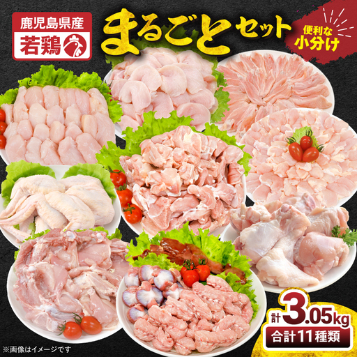2649 若鶏まるごと 3.05kg セット KN105-006 肉 鶏肉 冷凍
