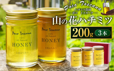 山の花 ハチミツ 200g瓶×3本セット 合計600g ／ はちみつ 蜂蜜 純粋 非加熱 国産 常温 九州 長崎