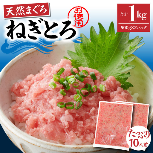 ＜選べる配送月＞【 神奈川県漁連 】 ＜ お徳用 ＞ 天然 まぐろ ねぎとろ 1kg（ 500g × 2P ） M077-011-02 冷凍 マグロ
