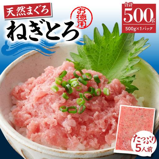 ＜選べる配送月＞【 神奈川県 漁連 】 ＜ お徳用 ＞  天然 まぐろ ねぎとろ 500g M077-011-01 冷凍 マグロ
