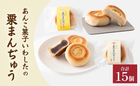 あんこ菓子いわしたの栗まんぢゅう2種詰め合わせ 大分 玖珠町 銘菓 栗まんぢゅう 昭和元年 七宝堂 甘さ控えめ さらっと口あたり 自家製こしあん 桃山 しっとり 食べ比べ 伝統 和菓子 和スイーツ スイーツ まんじゅう お菓子 専門店 名店 伝承 ふるさと
