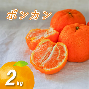 [2027年2月下旬から順次発送]低農薬栽培ポンカン 2kg 