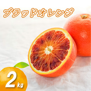 [2027年2月上旬頃より順次発送]ブラッドオレンジ 2kg | 数量選択可 みかん ミカン 蜜柑 柑橘 数量限定 愛媛県産 松山市 中島 低農薬 愛媛 ふるさと納税[NO0271]