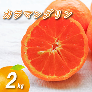 [2027年4月下旬頃から順次発送]カラマンダリン 2kg | 数量選択可 みかん ミカン 蜜柑 柑橘 ジューシー 数量限定 愛媛県産 中島 低農薬 愛媛県 松山市 ふるさと納税[NO0362]