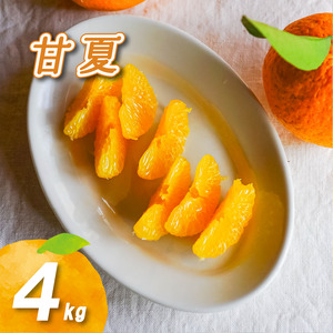 【2027年3月下旬頃より順次発送】農薬不使用 甘夏 4kg | 数量選択可 みかん ミカン 蜜柑 柑橘 数量限定 愛媛県産 松山市 中島 愛媛 ふるさと納税【NO040】