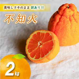 【デコポンと同品種】【2027年2月中旬頃から順次発送】 訳あり不知火 2kg | でこぽん【NO044】