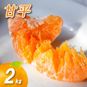 【2027年2月頃から順次発送】 甘平 2kg | みかん 柑橘 数量限定 愛媛 松山 中島【NO050】