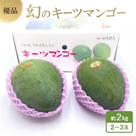 [2027年8月中旬から順次発送・贈答用]幻のキーツマンゴー約2kg(2玉〜3玉)[配送不可地域:離島]