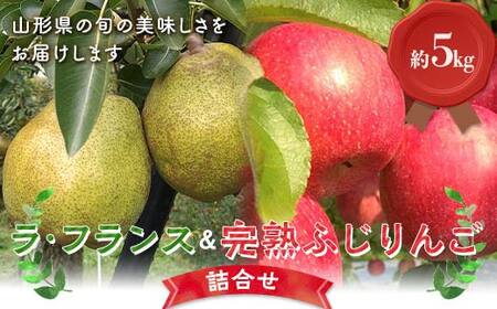 【令和8年産先行予約】 ラ・フランス & 完熟ふじりんご 詰合せ 約5kg (L～3L) 《令和8年11月中旬～発送》 【全国りんご選手権 銀賞】 『船中農園』 林檎 リンゴ 山形県 南陽市 [2176]
