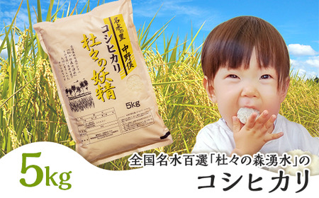 43-08杜々の妖精コシヒカリ5kg（全国名水百選栃尾産）