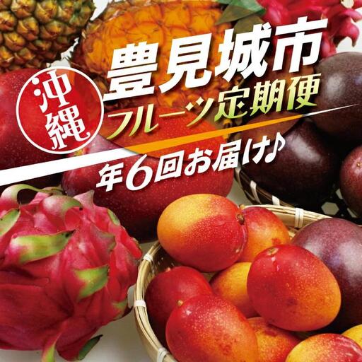【全6回】人気！沖縄フルーツ定期便 (AC020)