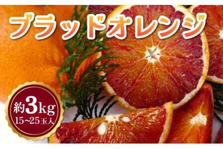 令和8年熊本地震復興支援 先行予約 ブラッドオレンジ 約3kg（15玉～25玉）【吉田レモニー】【2027年3月上旬-6月中旬発送】柑橘 フルーツ 果物
