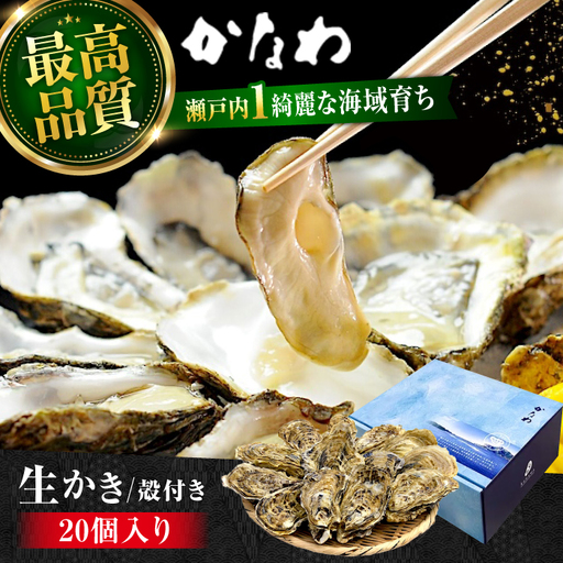 生牡蠣殻付き20個 牡蠣[XBP008]
