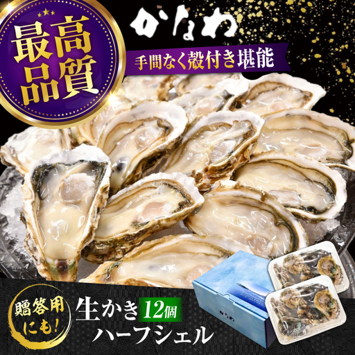 生牡蠣殻付き開殻12個 牡蠣[XBP010]