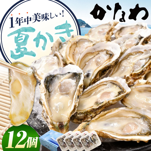 生牡蠣夏かき12個 牡蠣[XBP013]